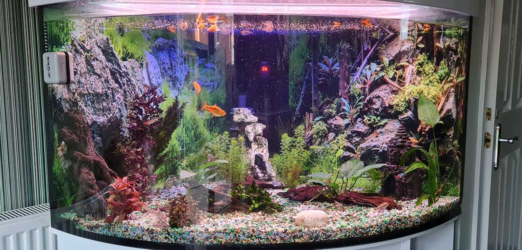 I NEED GRAPHICS FOR MY TANK…