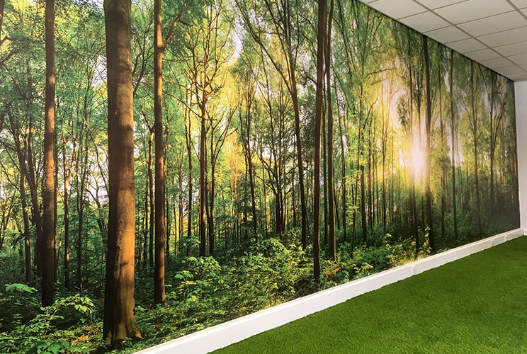 Wall & Floor Decor