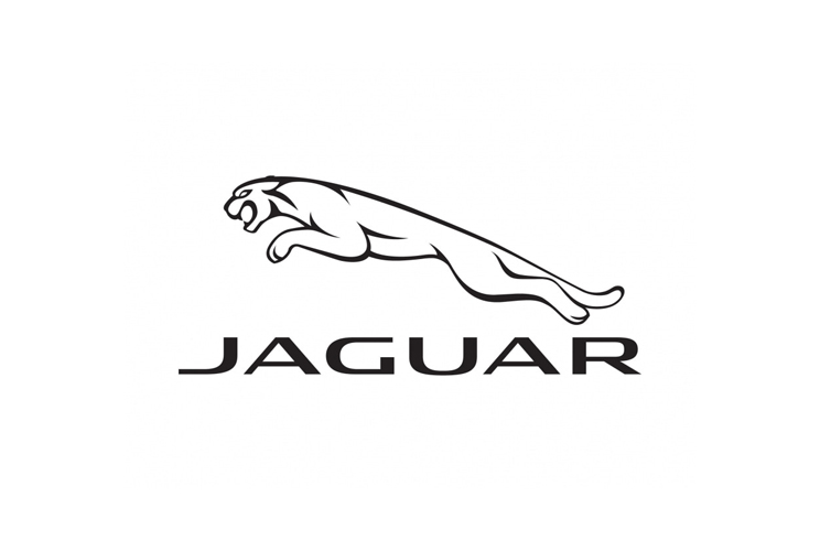 Jaguar Chevron Kits