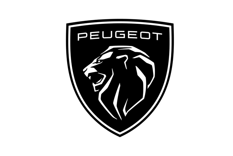 Peugeot Chevron Kits