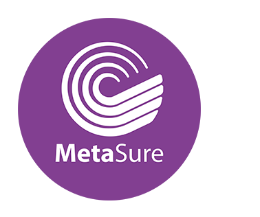 metasure-icon