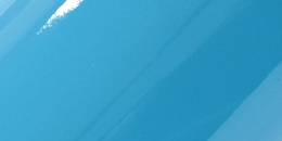 MiamiBlueChip